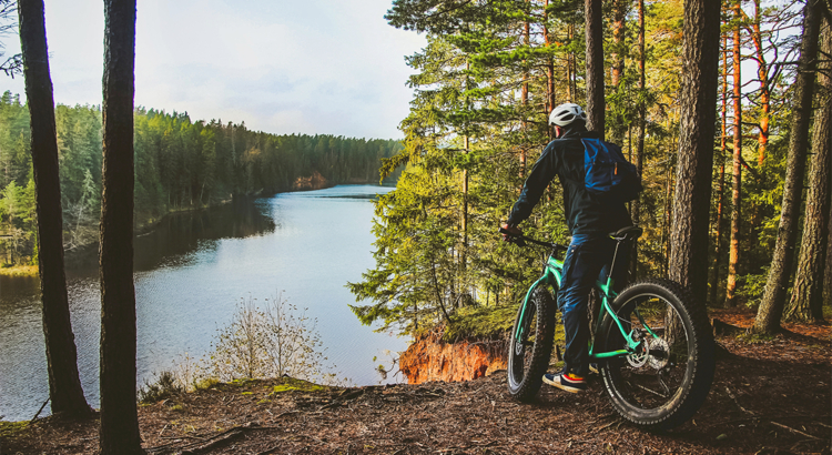 Estland Aktivurlaub Biker Wald Foto Visit Estonia